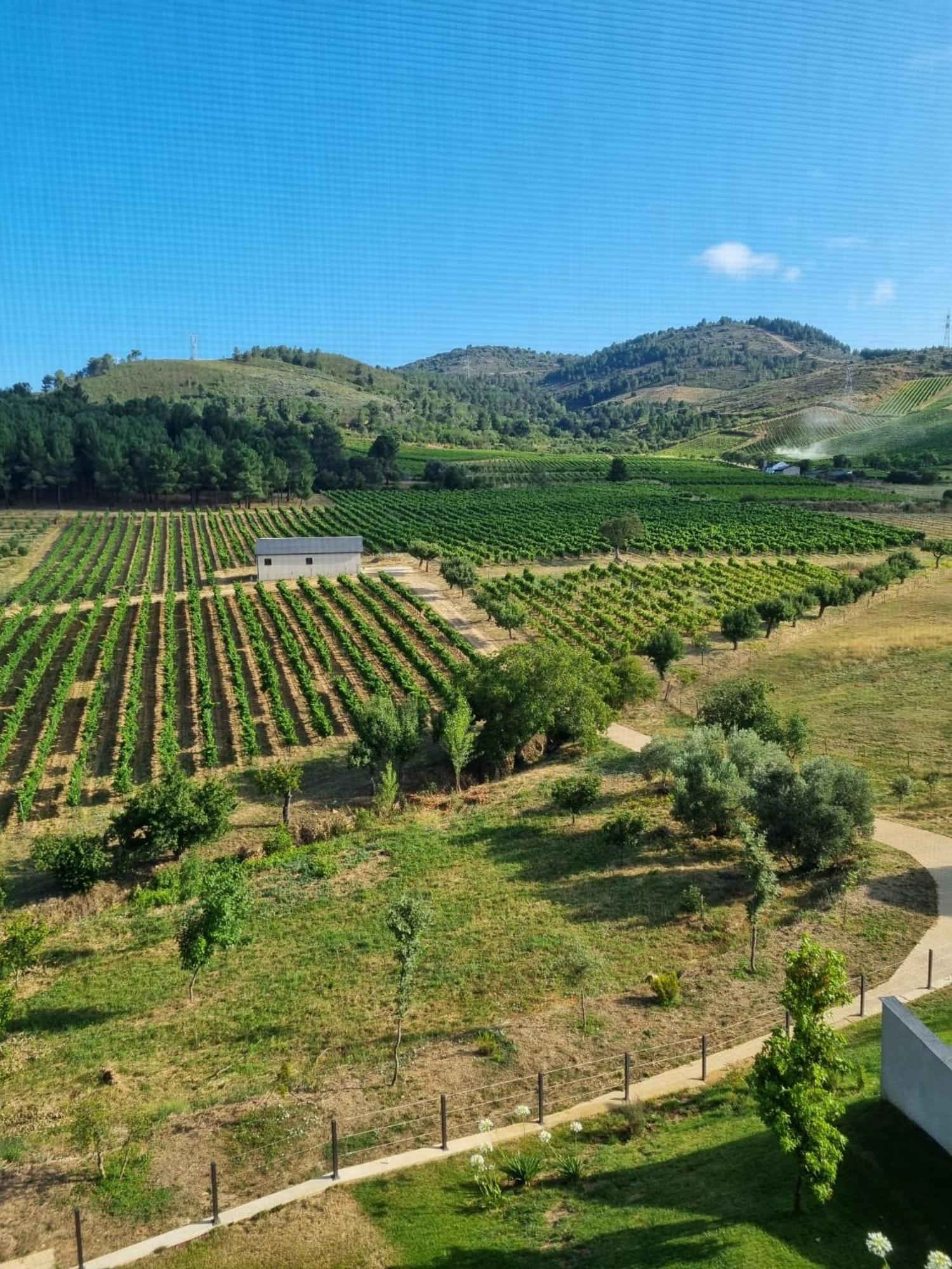 Hotel Boutique Finca esencial Villafranca Del Bierzo Exterior foto